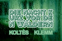 DIE NACHT KURZ VOR DEN WÄLDERN • THEATERTAG !!